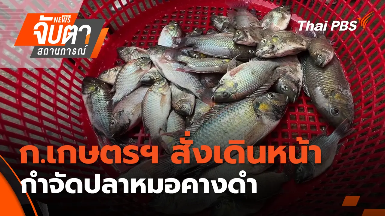 ก.เกษตรฯ สั่งเดินหน้ากำจัดปลาหมอคางดำ