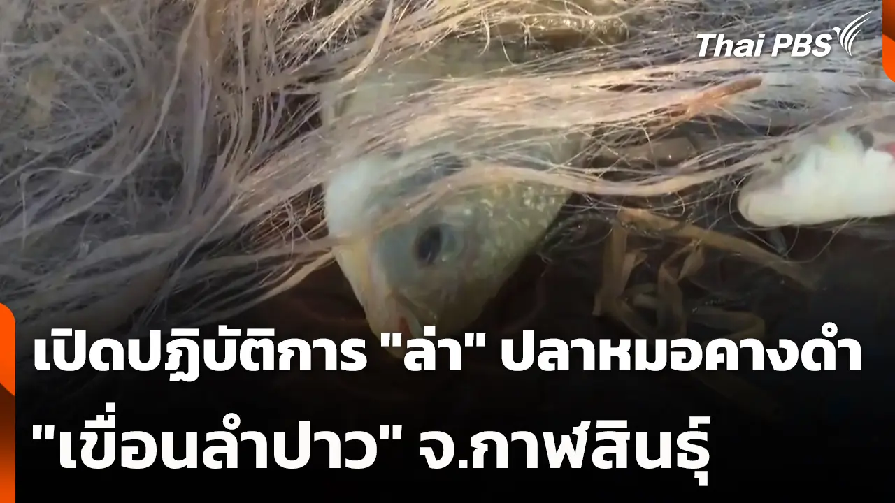 突发新闻