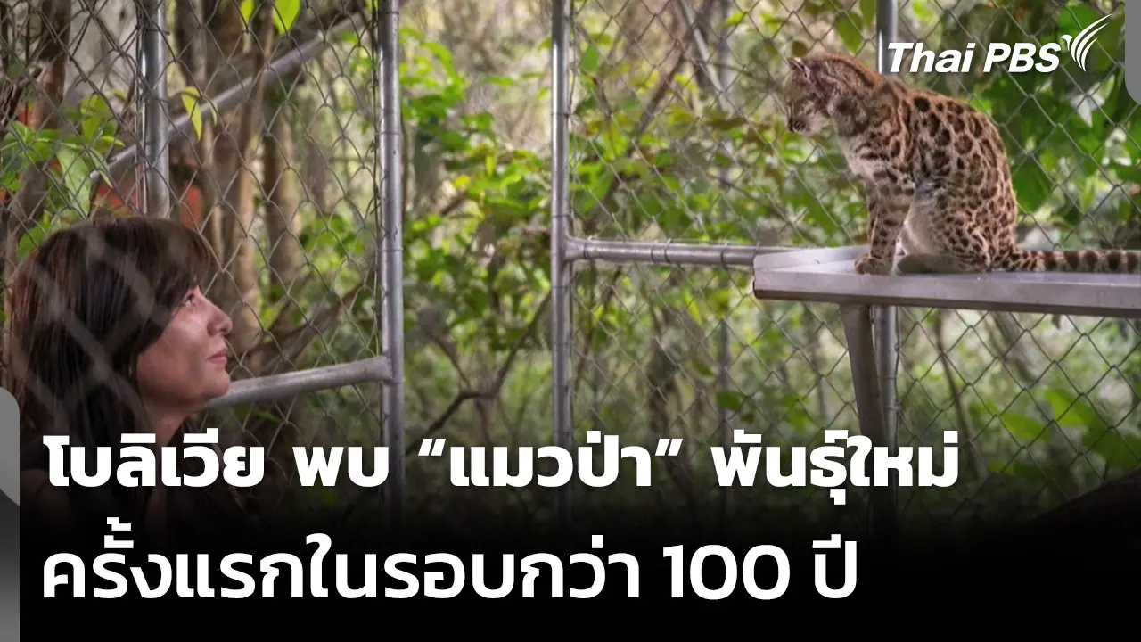 突发新闻