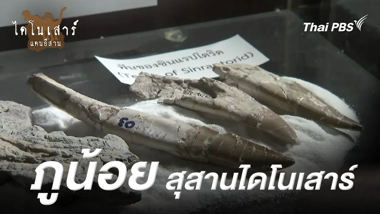 ภูน้อย สุสานไดโนเสาร์
