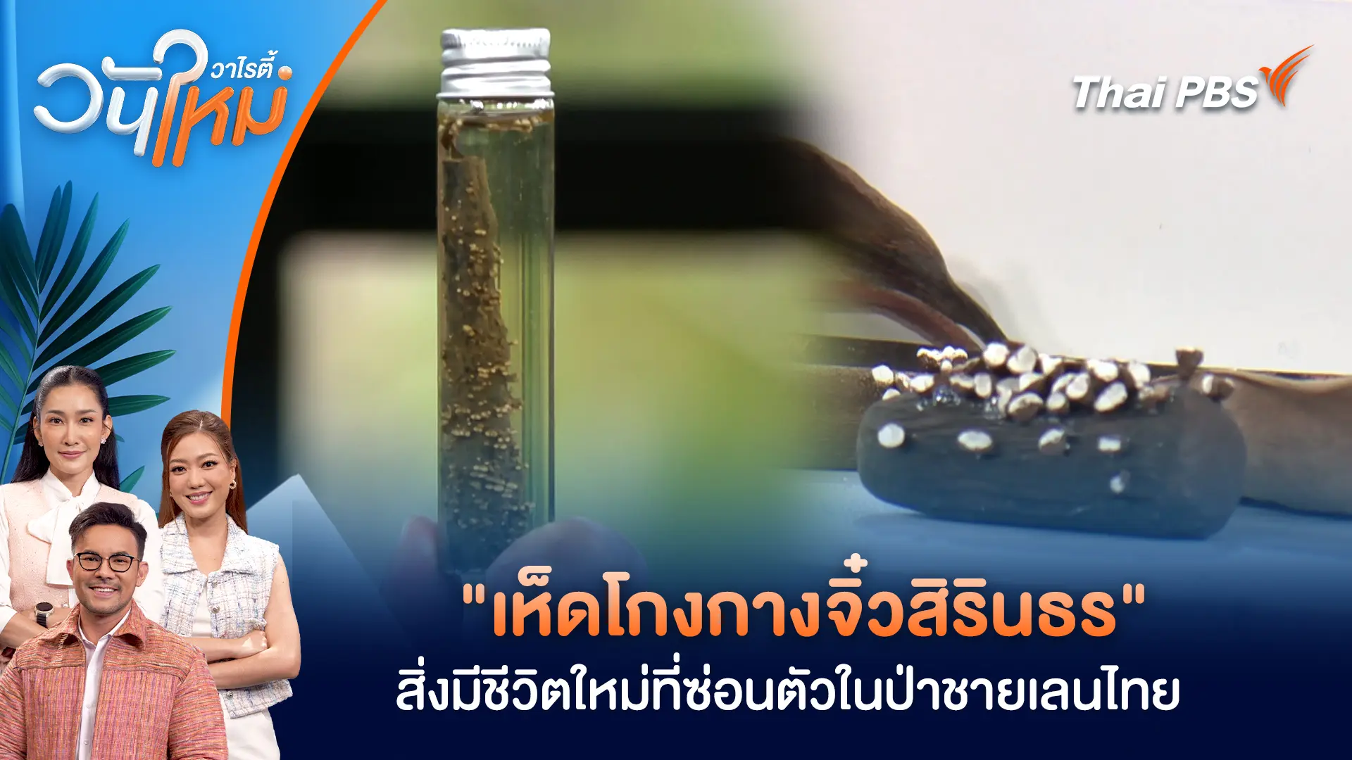 วันใหม่วาไรตี้