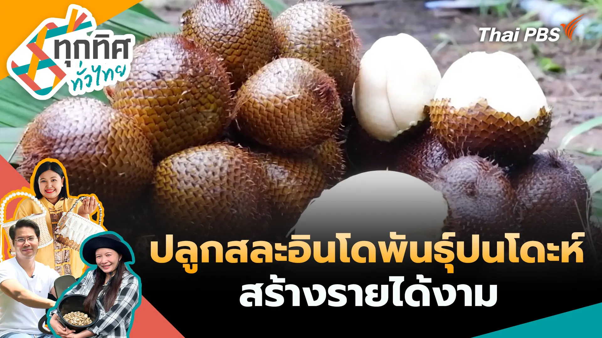 ทุกทิศทั่วไทย
