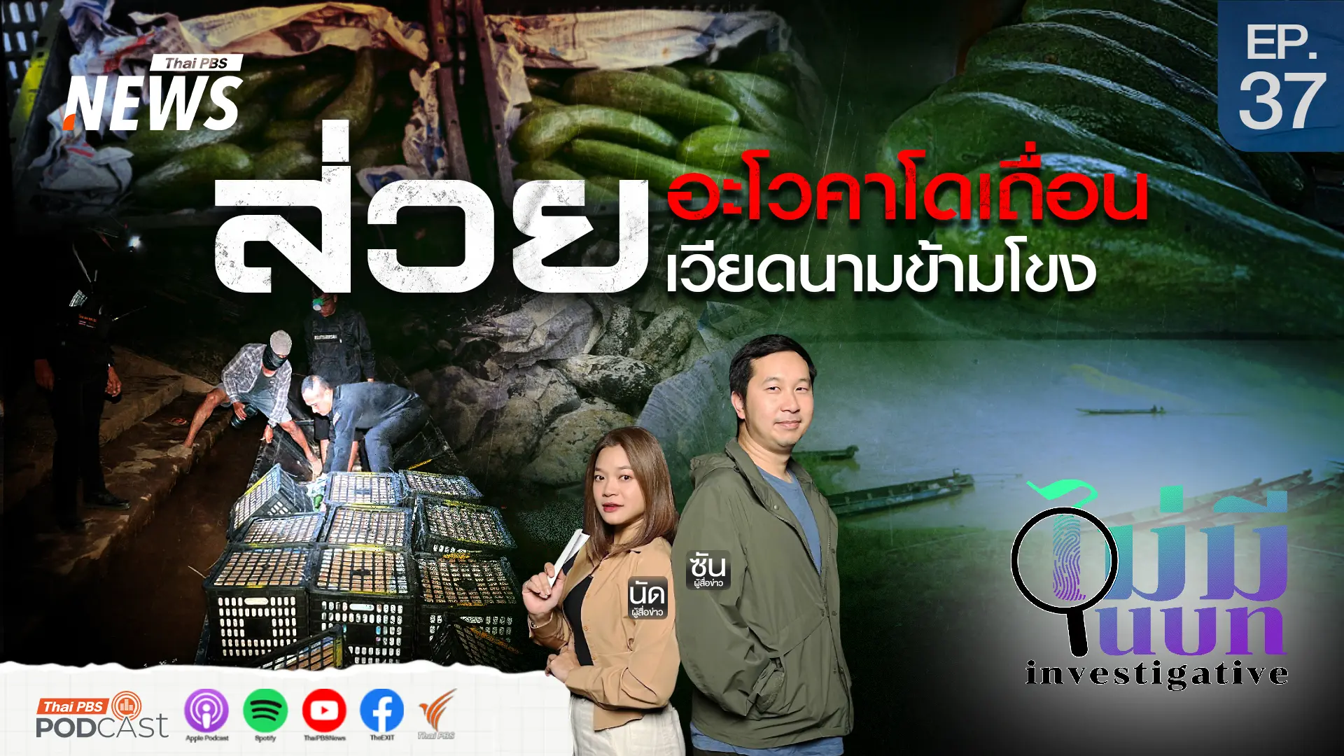 ส่วยอะโวคาโดเถื่อน เวียดนามข้ามโขง