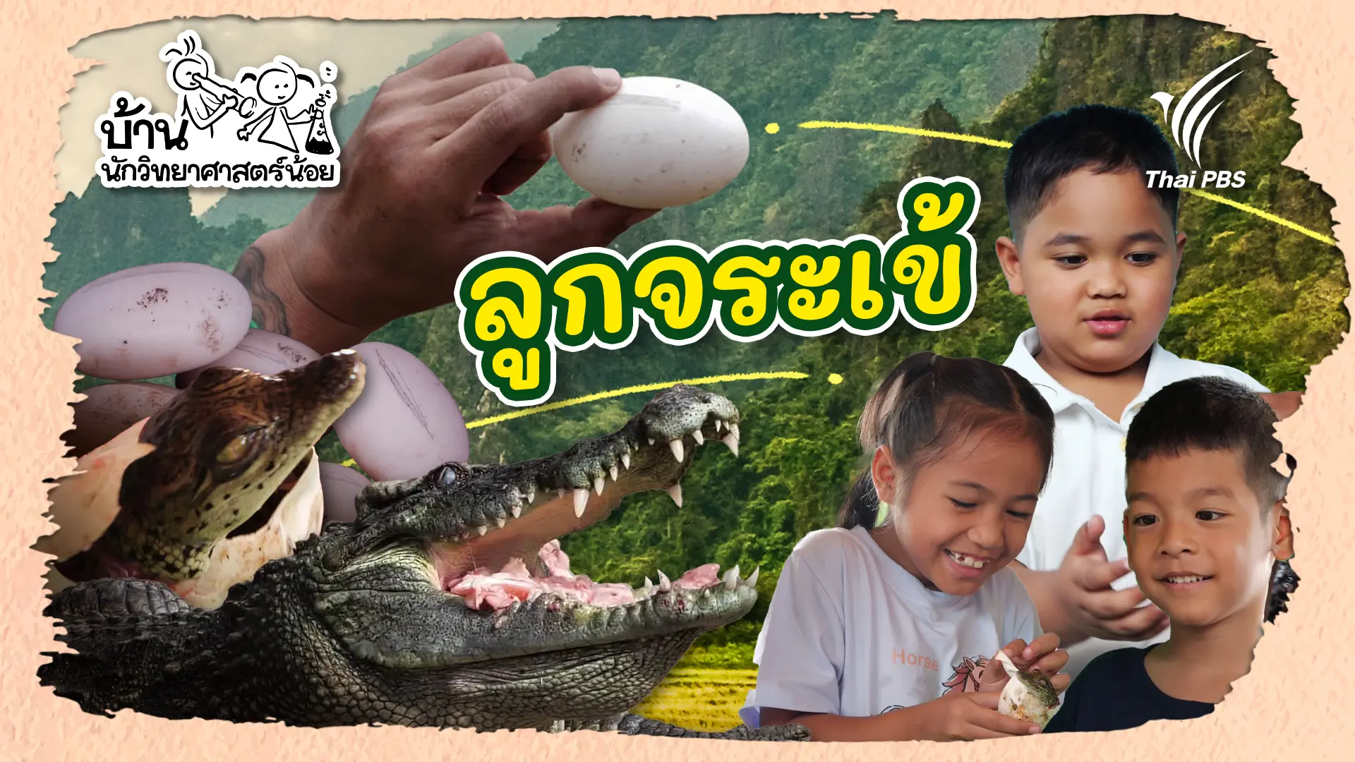 ลูกจระเข้