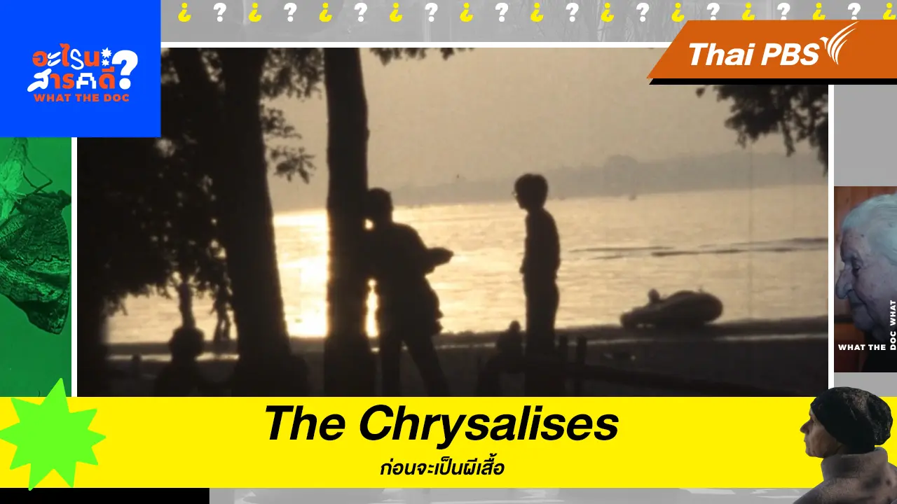 The Chrysalises ก่อนจะเป็นผีเสื้อ