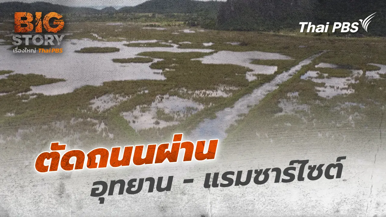 ตัดถนนผ่านอุทยาน - แรมซาร์ไซต์