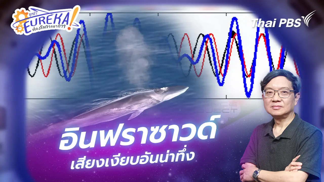 อินฟราซาวด์ เสียงเงียบอันน่าทึ่ง