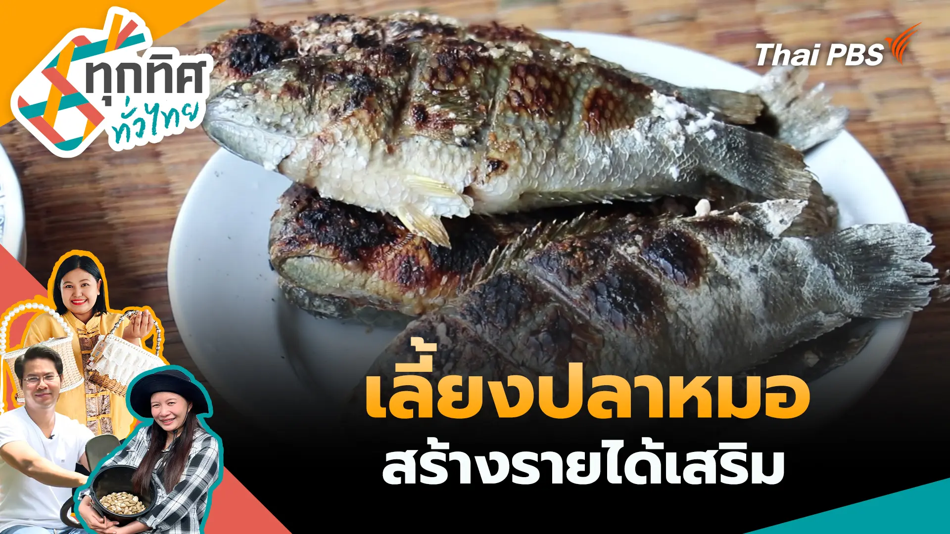  เลี้ยงปลาหมอสร้างรายได้เสริม