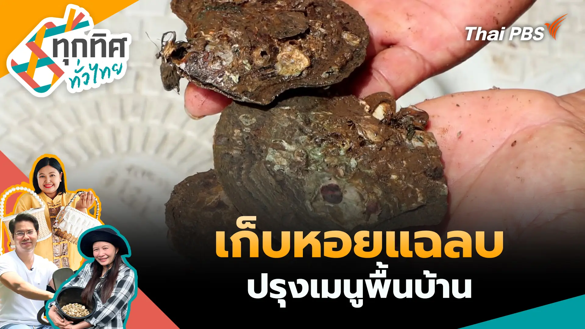 ทุกทิศทั่วไทย