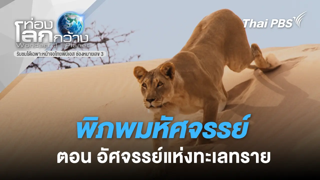 พิภพมหัศจรรย์ ตอน อัศจรรย์แห่งทะเลทราย