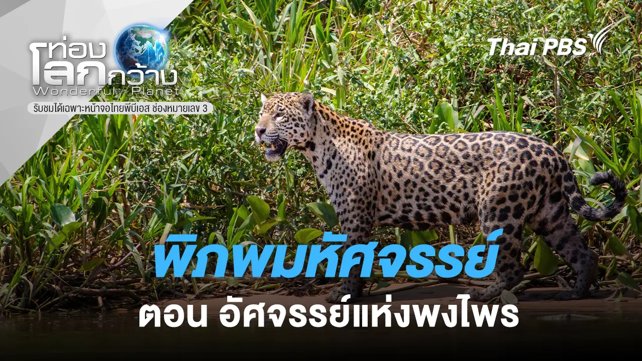 พิภพมหัศจรรย์ ตอน อัศจรรย์แห่งพงไพร