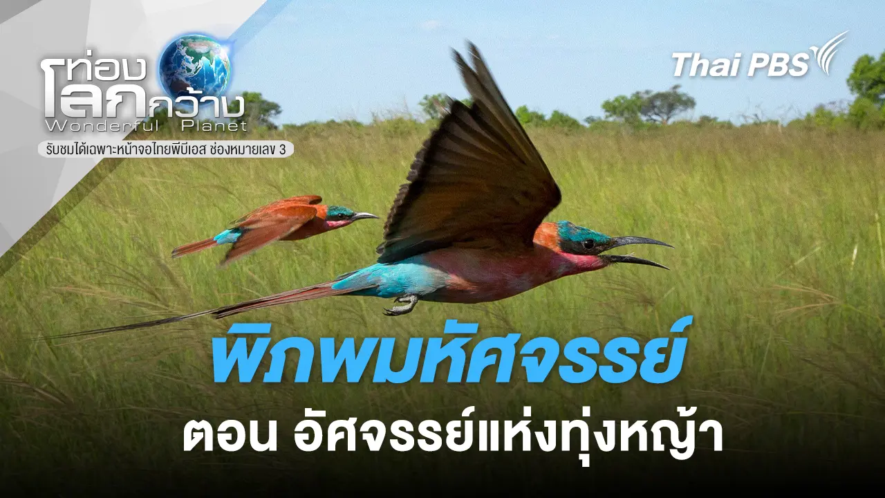 พิภพมหัศจรรย์ ตอน อัศจรรย์แห่งทุ่งหญ้า