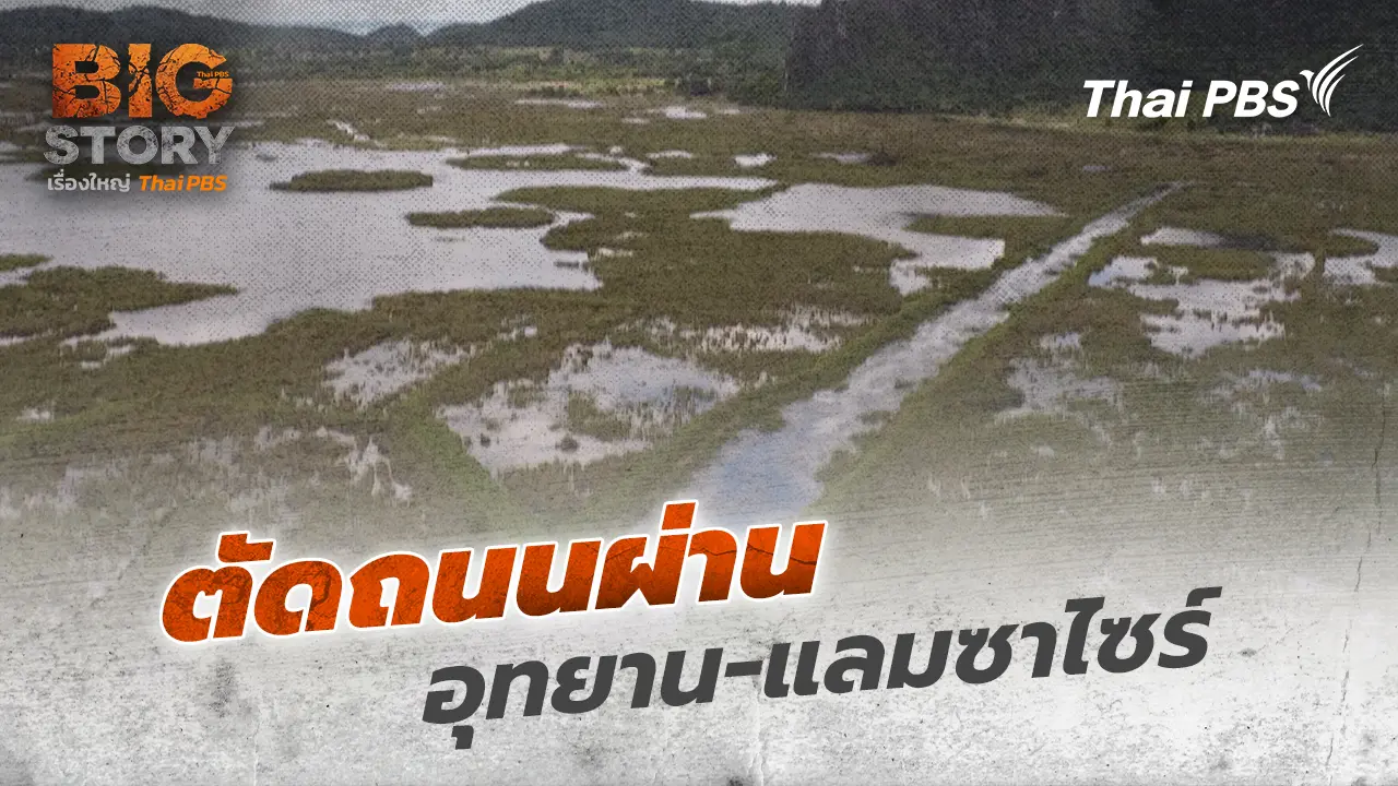 ตัดถนนผ่านอุทยาน - แลมซาไซร์