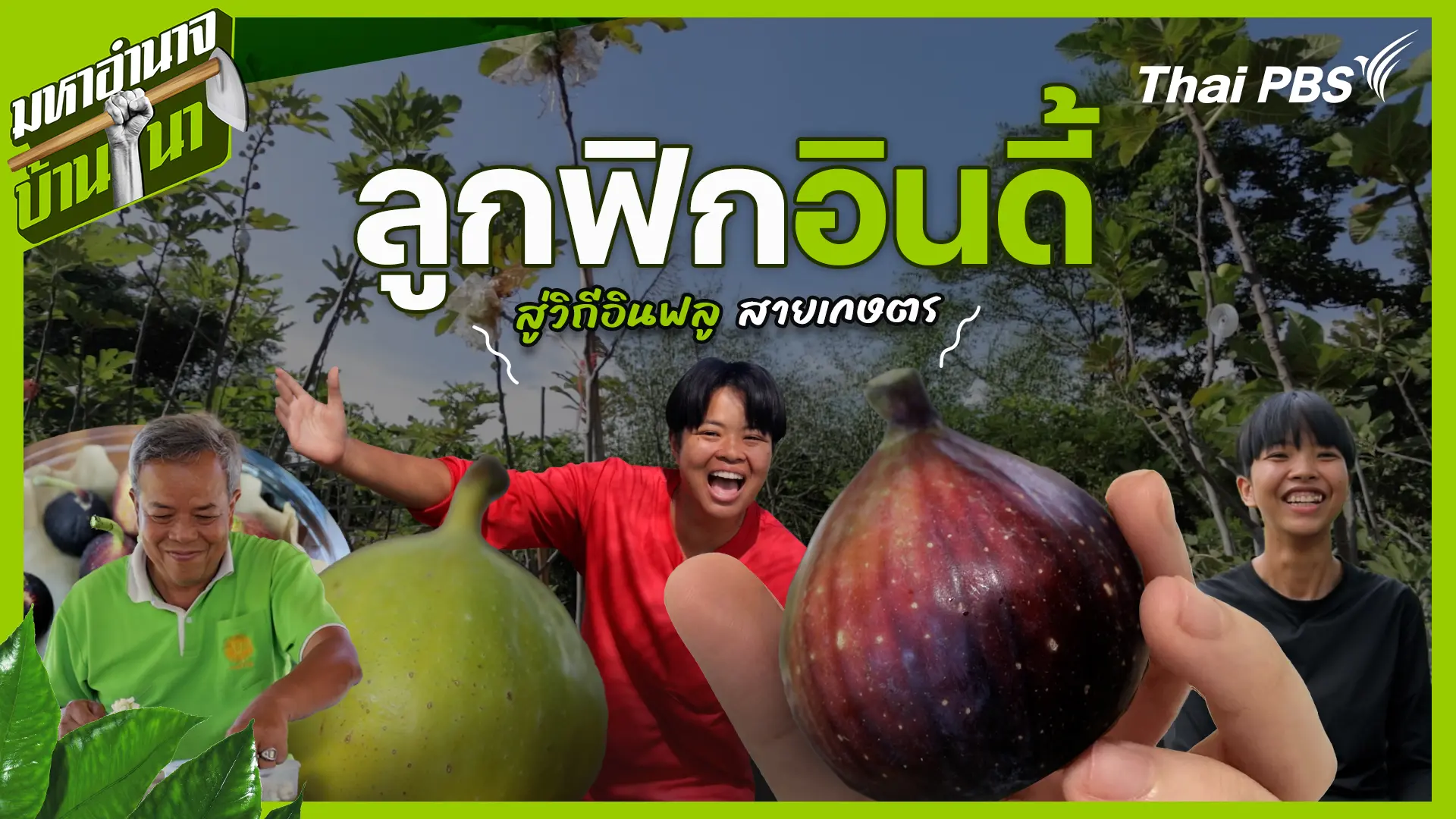ลูกฟิกอินดี้ สู่วิถีอินฟลูสายเกษตร