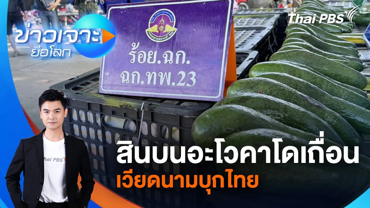 สินบนอะโวคาโดเถื่อนเวียดนามบุกไทย