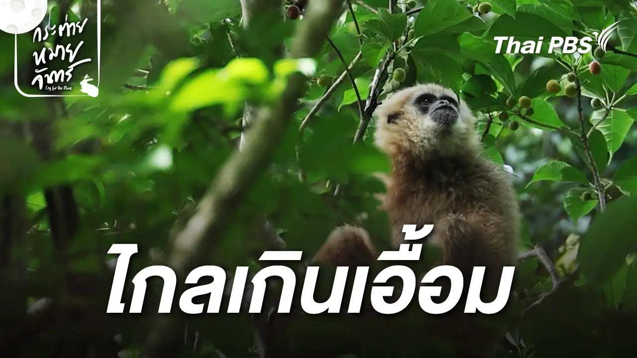  ไกลเกินเอื้อม 