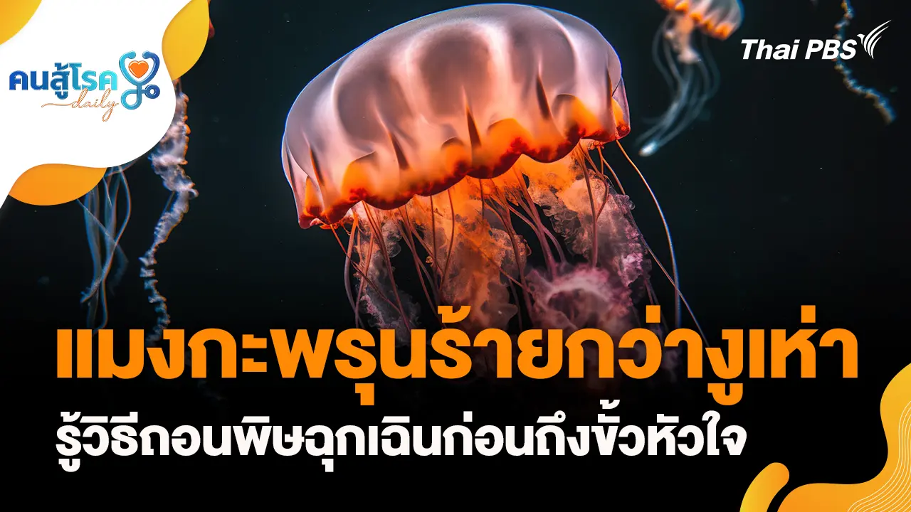 แมงกะพรุนร้ายกว่างูเห่า, พ่น "ยาขยายหลอดลมแบบฉุกเฉิน" บ่อยเสี่ยง ?
