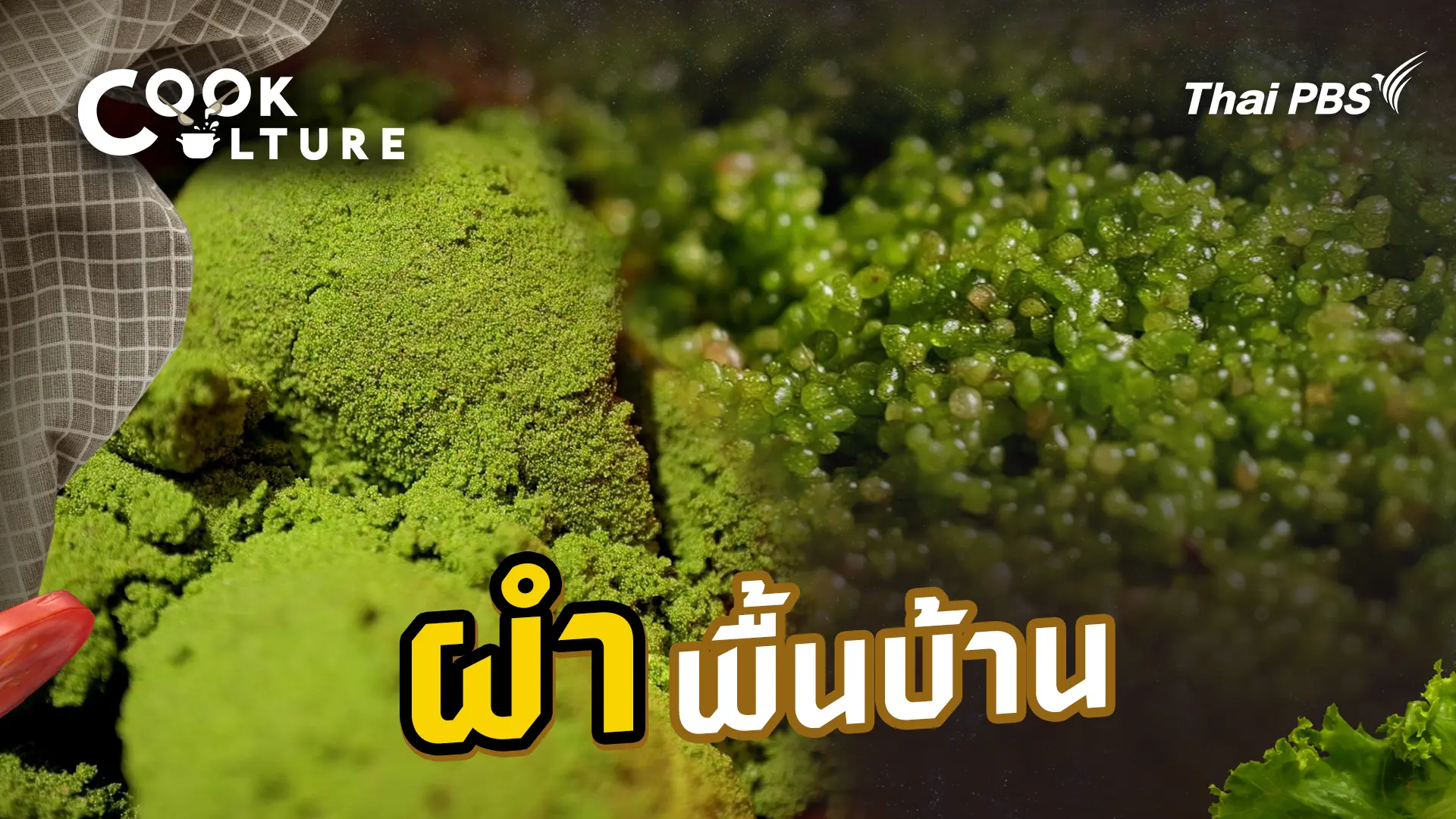 ผำพื้นบ้าน