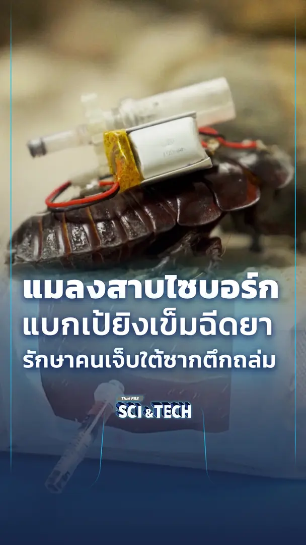 แมลงสาบไซบอร์ก แบกเป้ยิงเข็มฉีดยา รักษาคนเจ็บใต้ซากตึกถล่ม