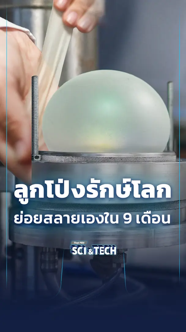 ลูกโป่งรักษ์โลก ย่อยสลายเองใน 9 เดือน