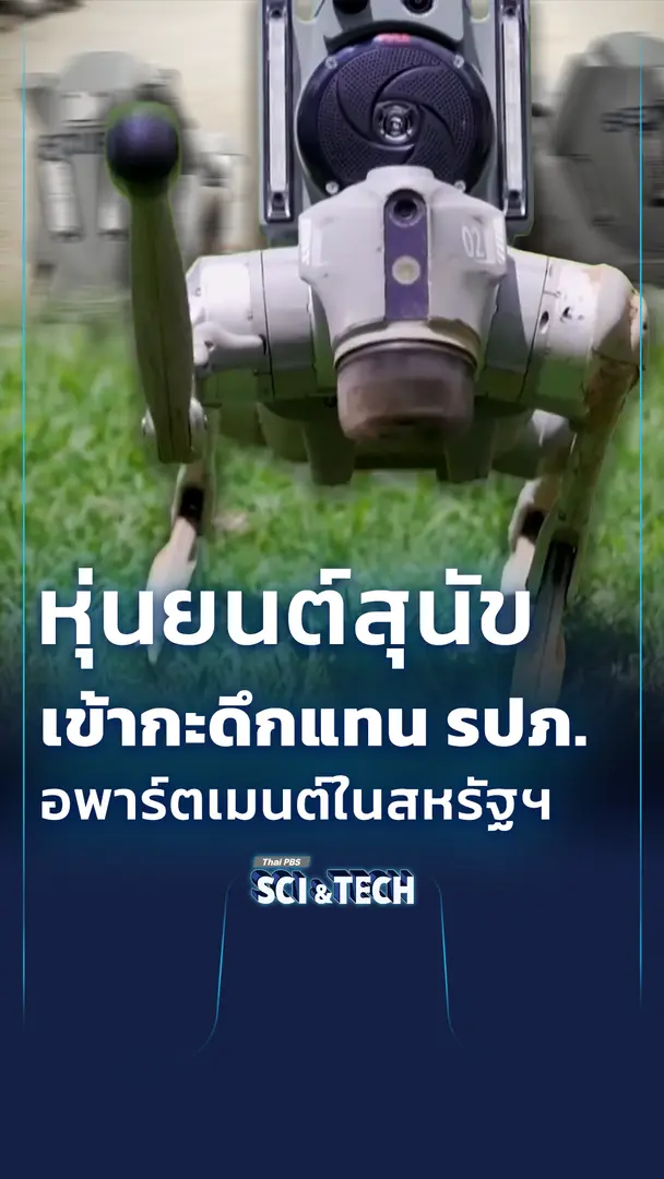 อพาร์ตเมนต์สหรัฐฯ ใช้หุ่นยนต์สุนัขเข้ากะดึกแทน รปภ.