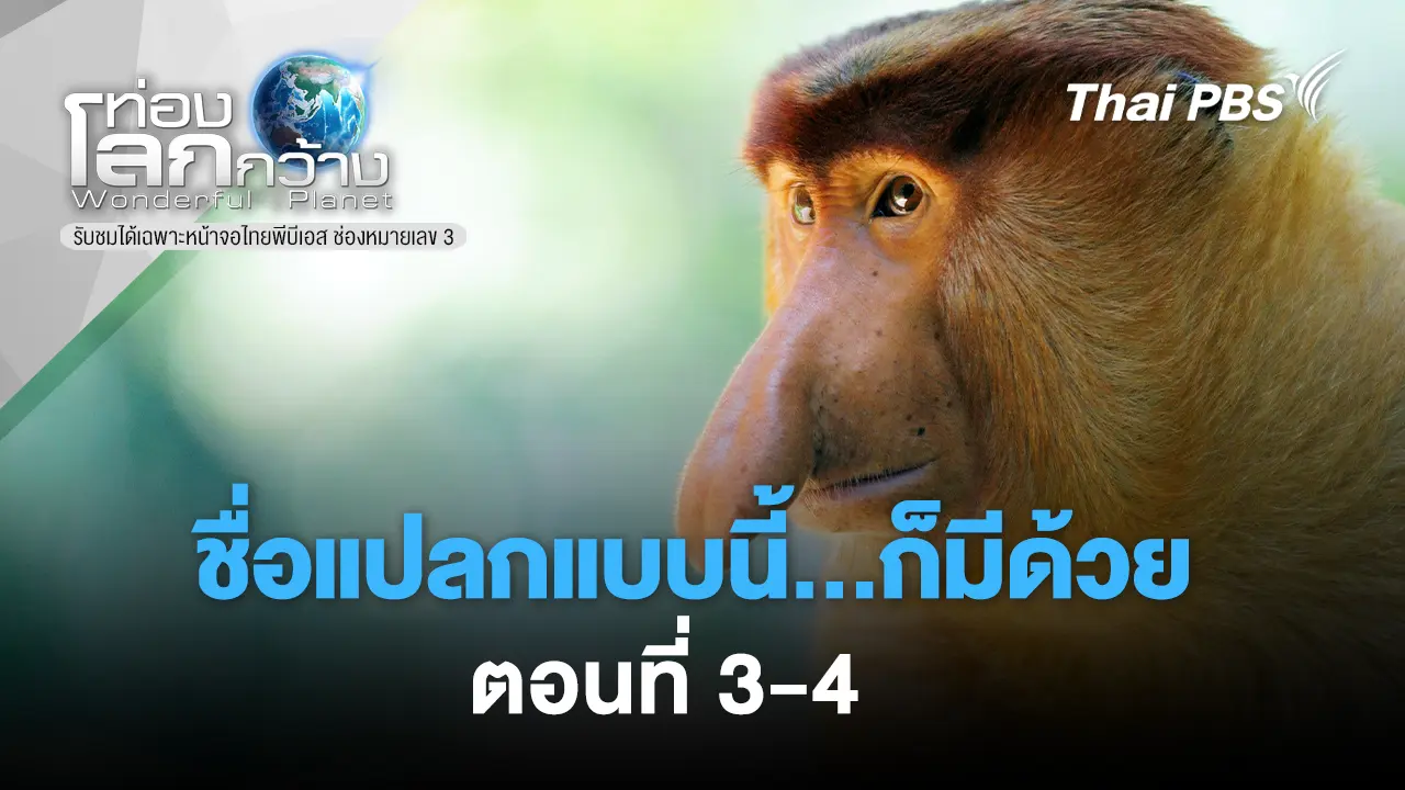 ชื่อแปลกแบบนี้...ก็มีด้วย ตอนที่ 3-4  