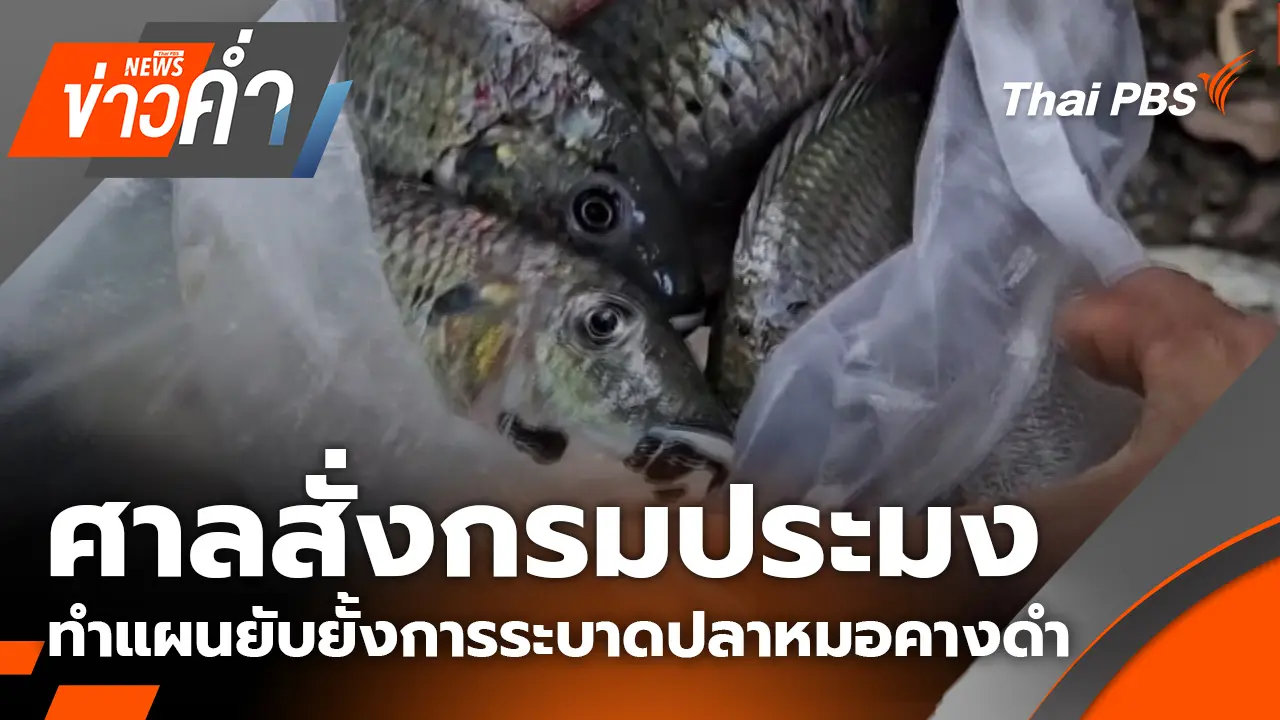 ข่าวค่ำ