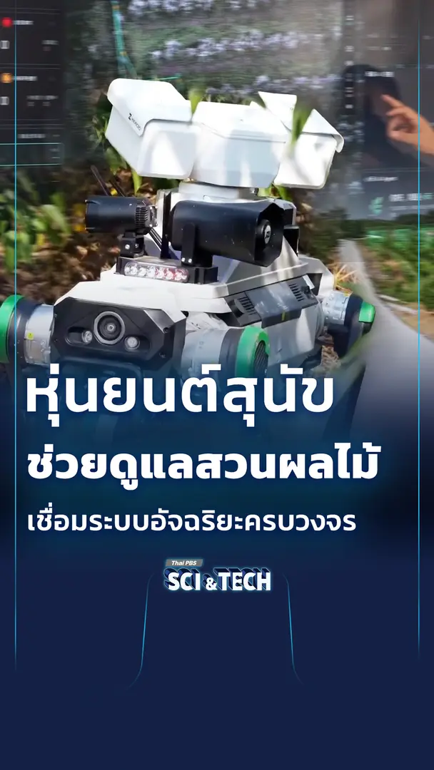 หุ่นยนต์สุนัข🤖 ช่วยดูแลสวนผลไม้ เชื่อมระบบอัจฉริยะครบวงจร