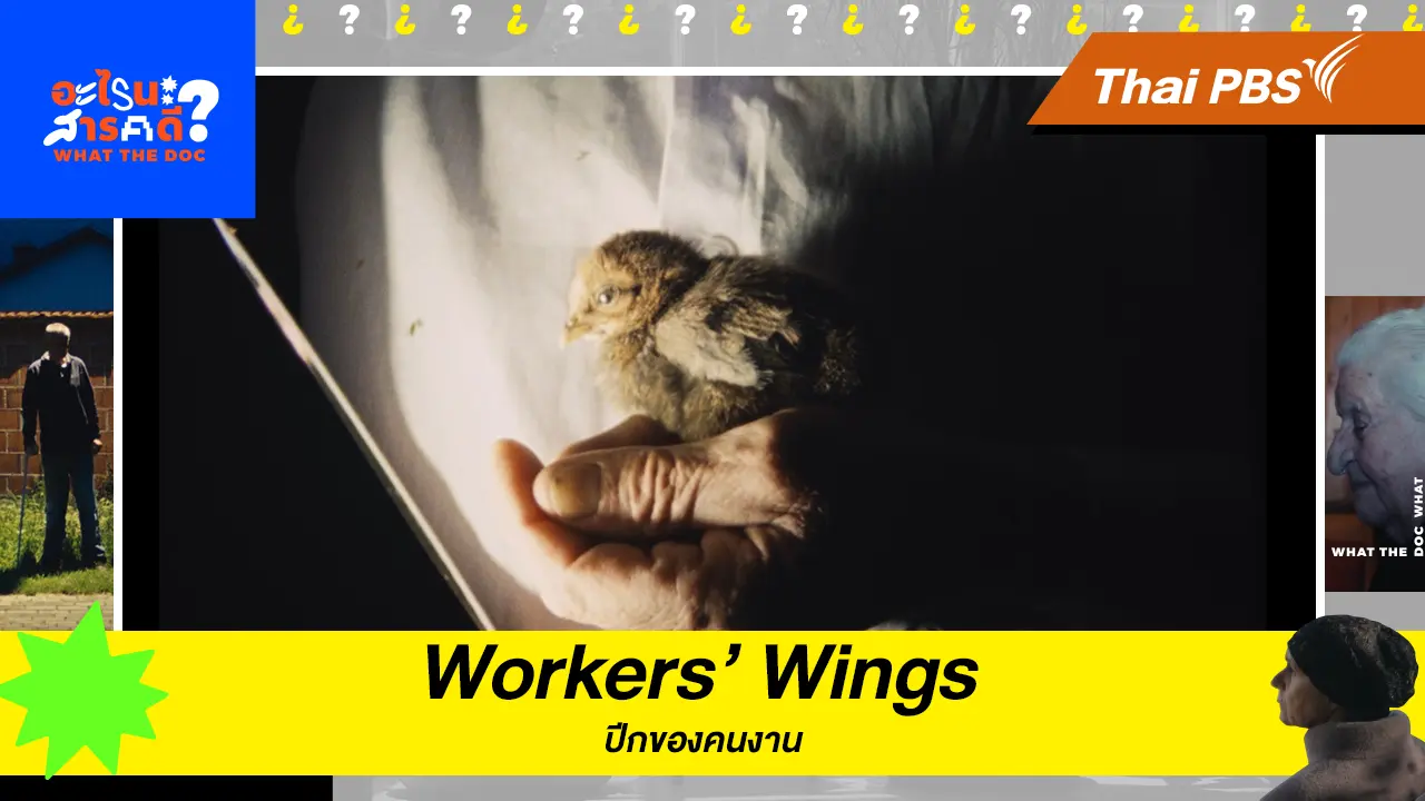 Workers’ Wings”  ปีกของคนงาน