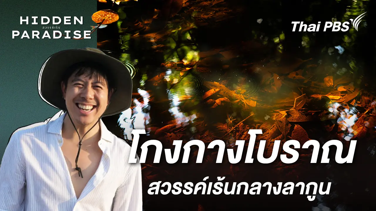 โกงกางโบราณ : สวรรค์เร้นกลางลากูน