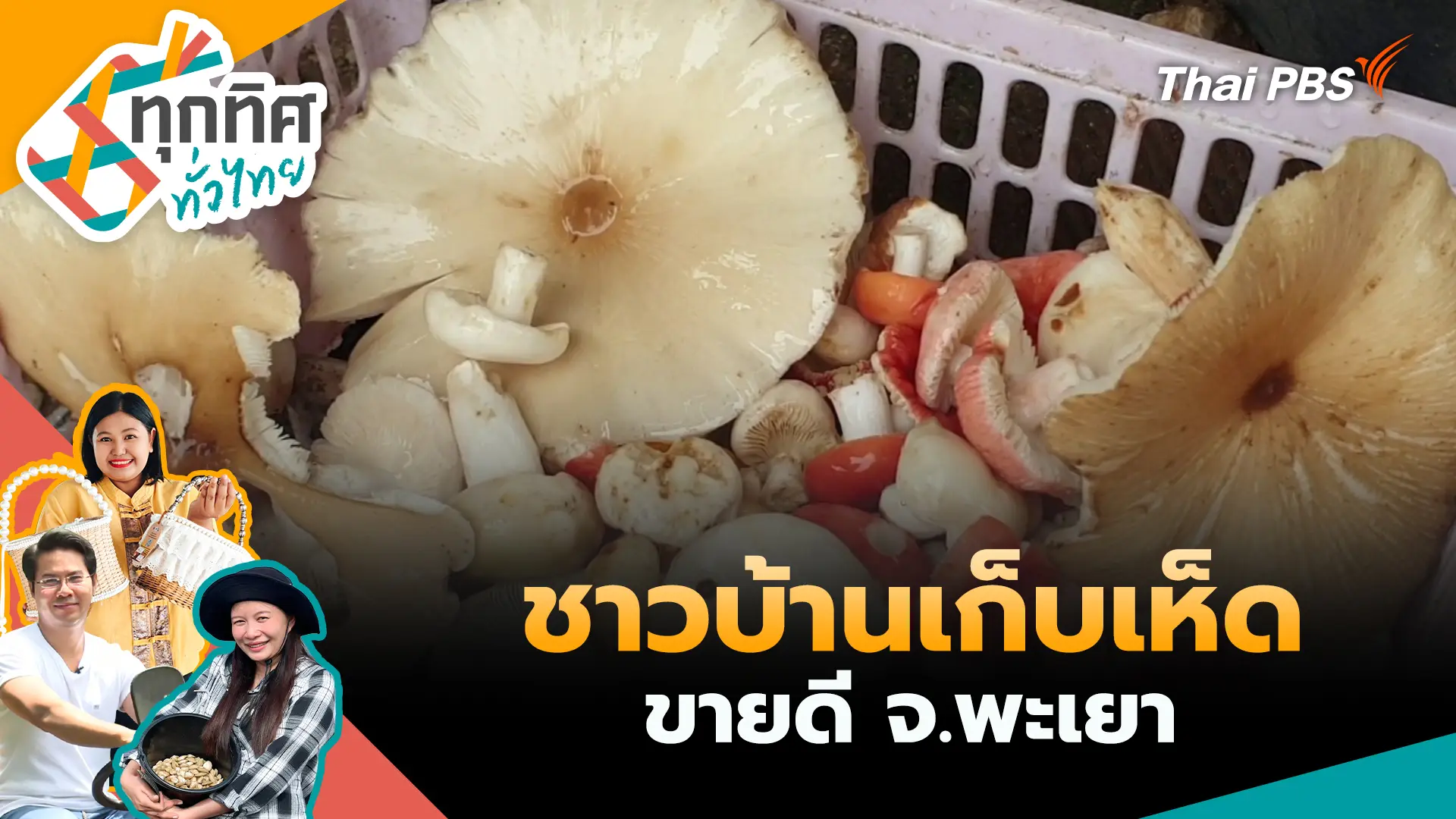 ชาวบ้านเก็บเห็ดขายดี จ.พะเยา