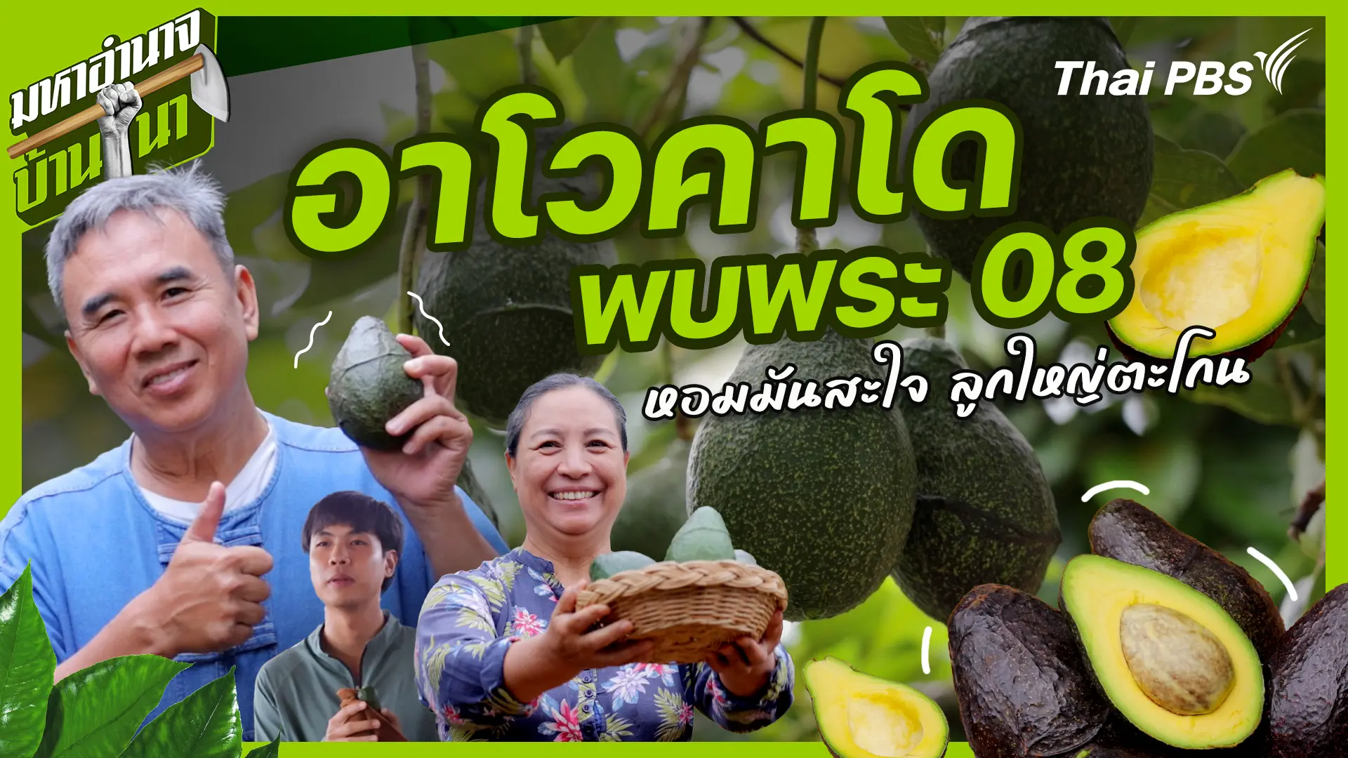 อาโวคาโดพบพระ 08 หอมมันสะใจ ลูกใหญ่ตะโกน