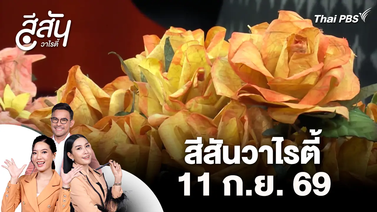新一天综艺