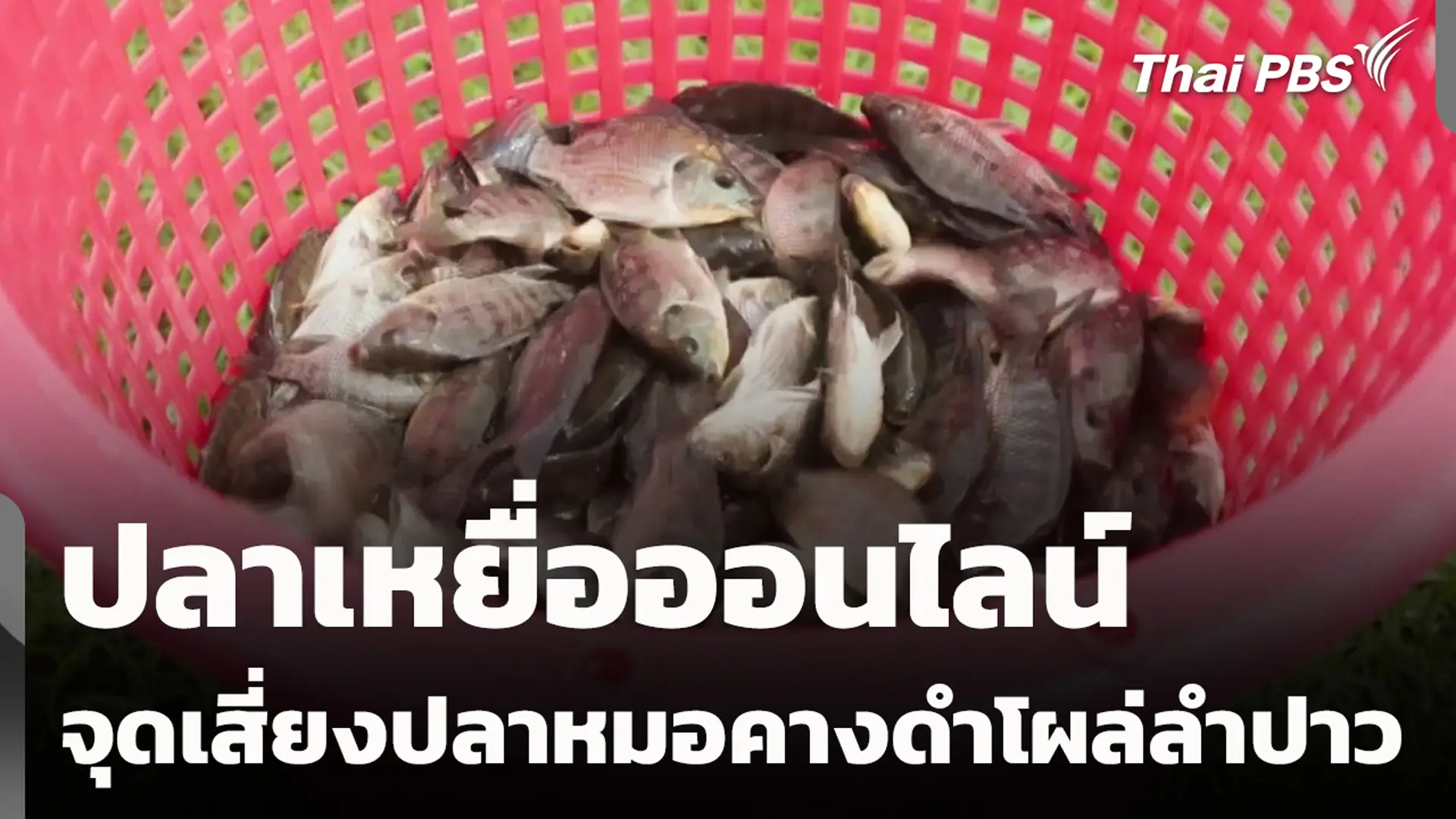 午间新闻