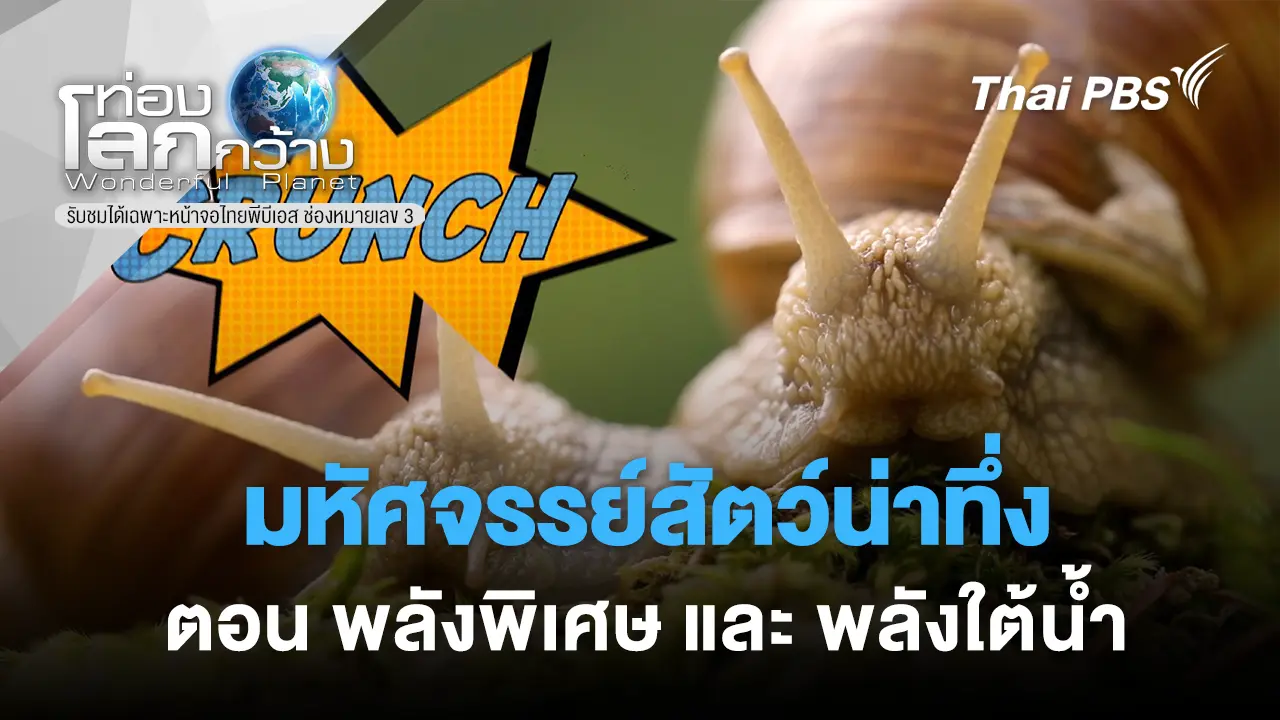 มหัศจรรย์สัตว์น่าทึ่ง ตอน พลังพิเศษ และ พลังใต้น้ำ