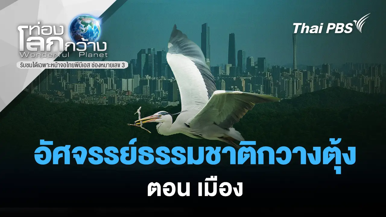อัศจรรย์ธรรมชาติกวางตุ้ง ตอน เมือง 