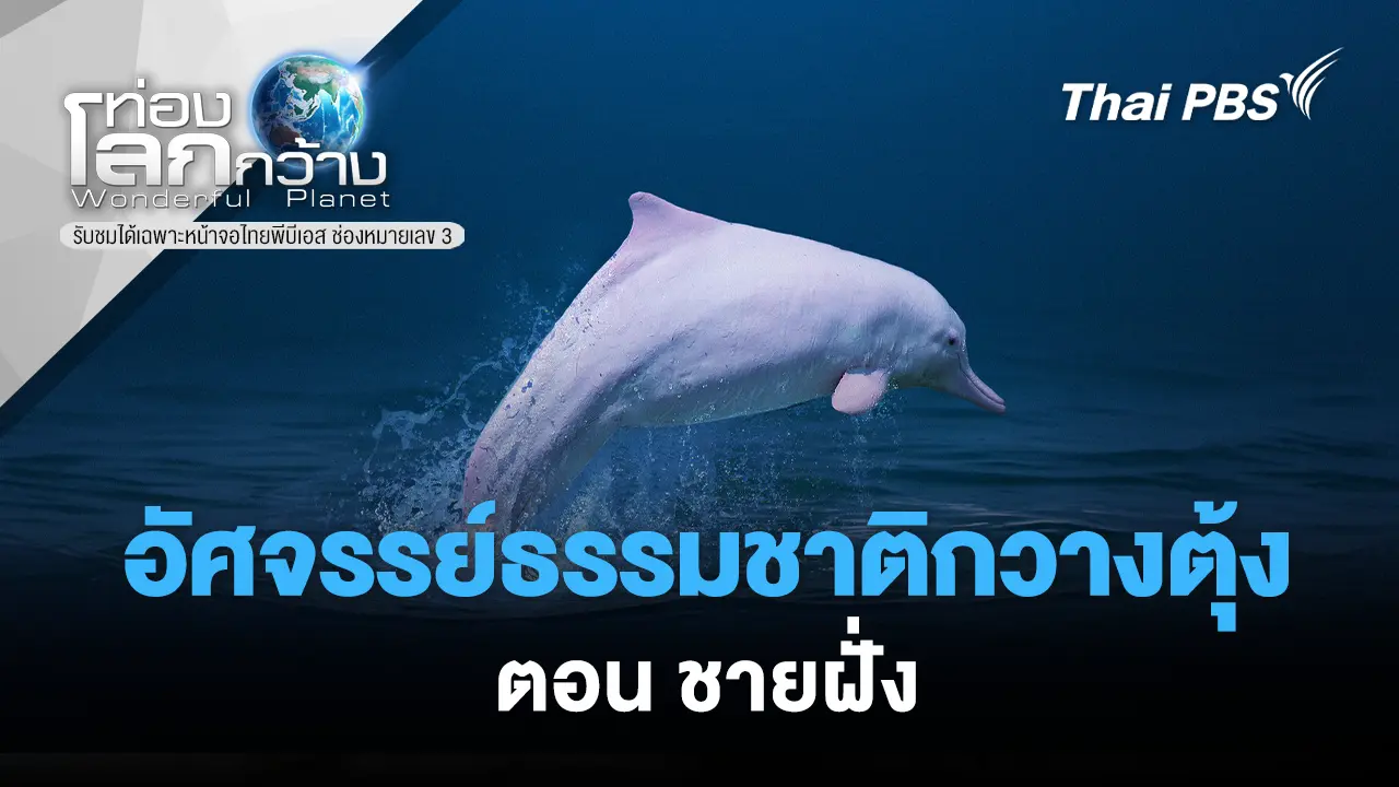 อัศจรรย์ธรรมชาติกวางตุ้ง  ตอน ชายฝั่ง