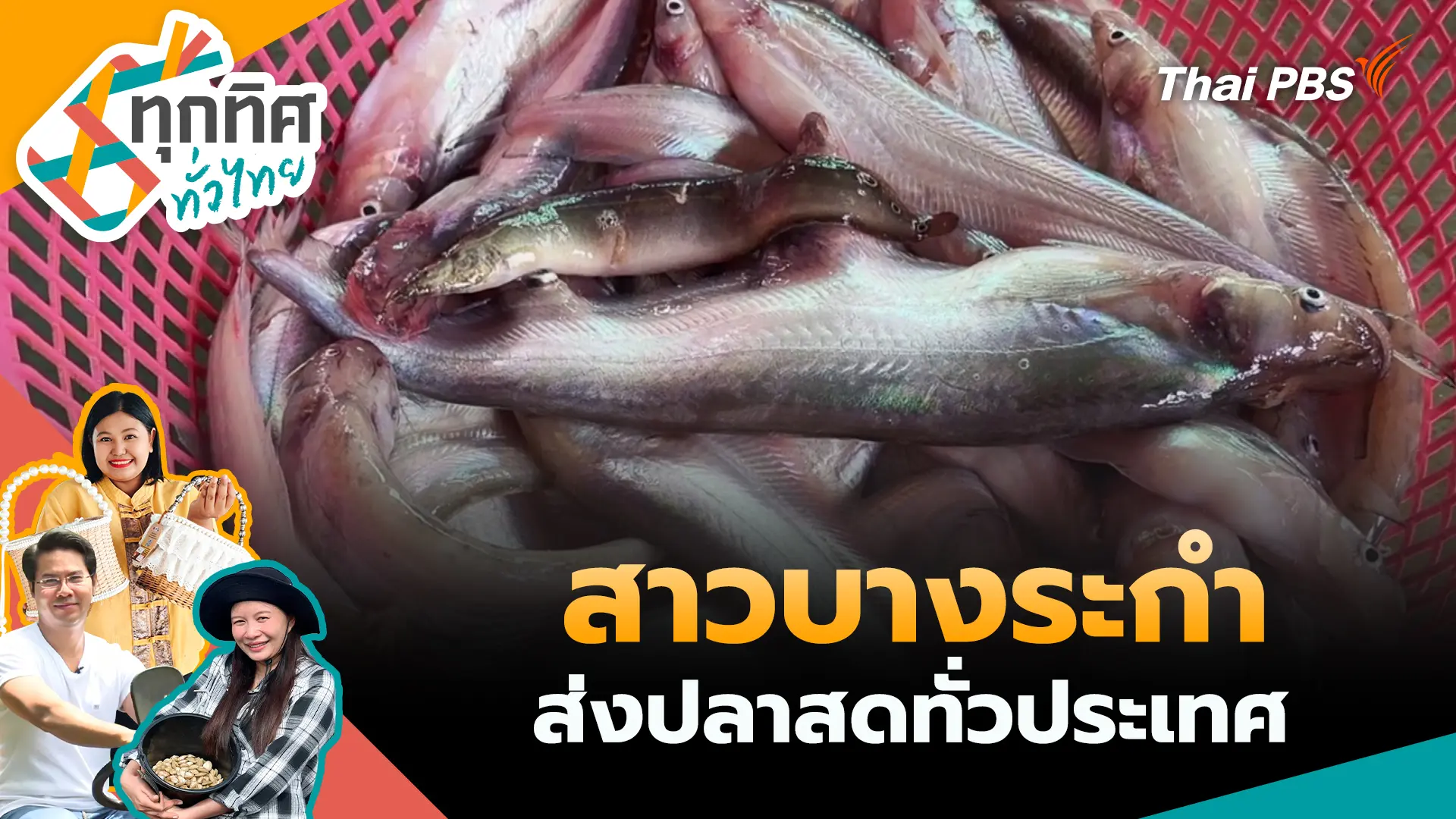 สาวบางระกำส่งปลาสดทั่วประเทศ