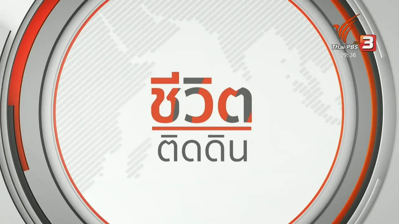 ชีวิตติดดิน