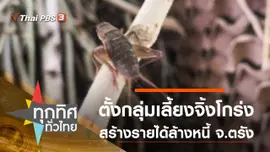 ตั้งกลุ่มเลี้ยงจิ้งโกร่ง สร้างรายได้ล้างหนี้ จ.ตรัง