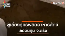ผู้เลี้ยงสุกรผลิตอาหารสัตว์ลดต้นทุน จ.ตรัง