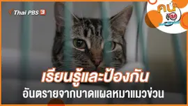 เรียนรู้และป้องกัน​ อันตรายจากบาดแผลหมาแมวข่วน