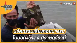 นวัตกรรมเลี้ยงหอยนางรมในบ่อกุ้งร้าง จ.สุราษฎร์ธานี