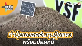 ทำปุ๋ยเองลดต้นทุนปุ๋ยแพงพร้อมปลดหนี้