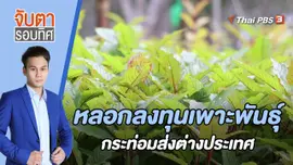 หลอกลงทุนเพาะพันธุ์กระท่อมส่งต่างประเทศ | 21 ก.ย. 65