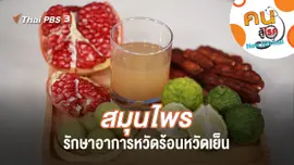 สมุนไพรรักษาอาการหวัดร้อนหวัดเย็น