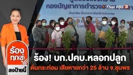 ร้อง! บก.ปคบ.หลอกปลูกต้นกระท่อม เสียหายกว่า 25 ล้าน จ.ชุมพร