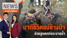 นาทีชีวิตแม่ช้างป่าช่วยลูกตกท่อระบายน้ำ | ข่าวค่ำมิติใหม่ | 13 ก.ค. 65