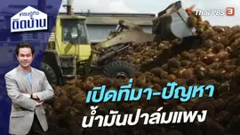 เปิดที่มา-ปัญหาน้ำมันปาล์มแพง
