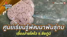 ศูนย์เรียนรู้พัฒนาพันธุ์กบเลี้ยงง่ายโตไว จ.ชัยภูมิ